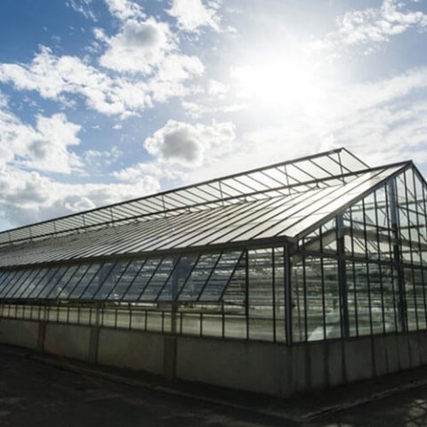 Centre de production horticole à Rungis